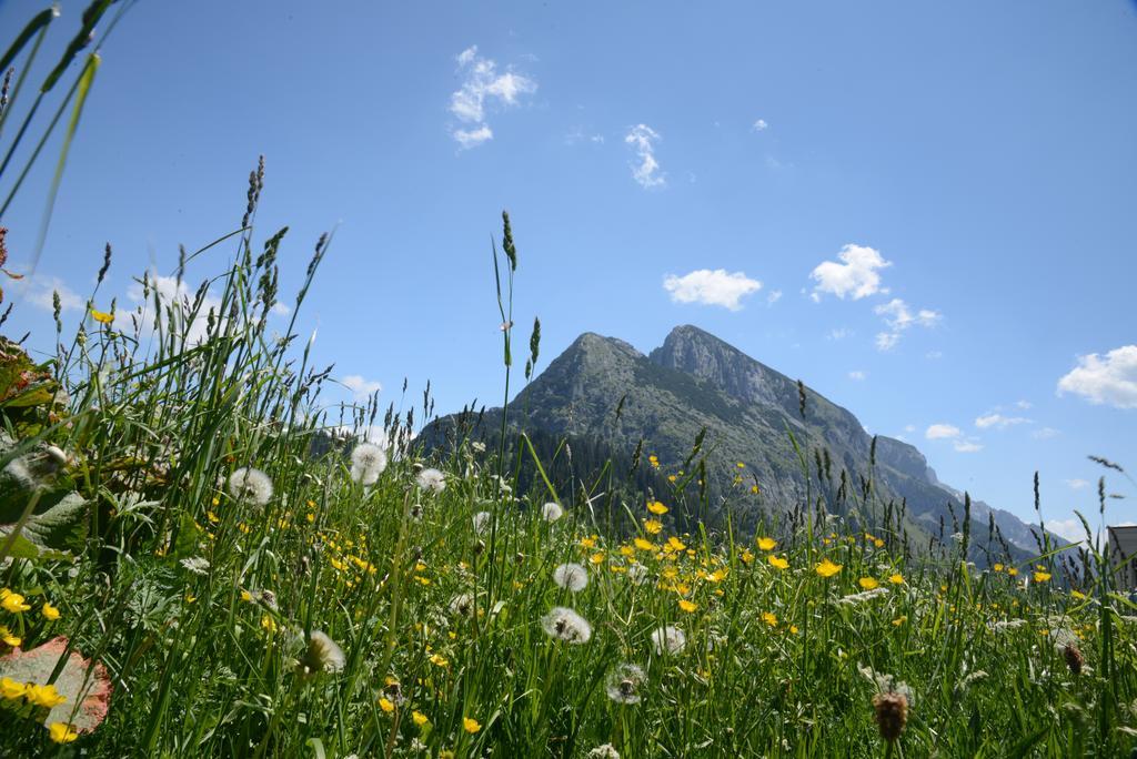 Der Alpenblick Ξενοδοχείο Sankt Johann im Pongau Εξωτερικό φωτογραφία