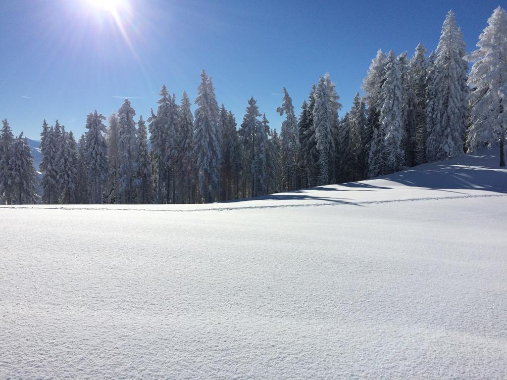 Der Alpenblick Ξενοδοχείο Sankt Johann im Pongau Εξωτερικό φωτογραφία